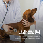 24시 마이동물의료센터