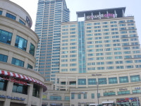 노벨시티공인중개사합동사무소