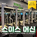 썬데이스쾃 헬스&PT