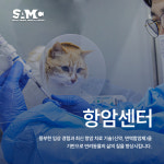 서울동물메디컬센터
