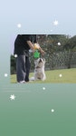유독너에개