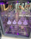 베스트맘 고양일산지사