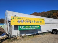 은행나무하우스실내낚시터