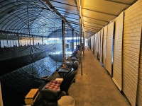 은행나무하우스실내낚시터