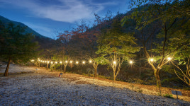 옥당걸 숲속캠핑장