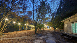 옥당걸 숲속캠핑장