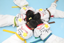 국가대표 스타클래스 태권도장