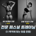 레드짐 대곡점