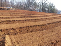 블루팜 주말농장