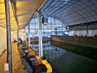 은행나무하우스실내낚시터