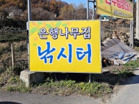 은행나무하우스실내낚시터