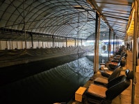 은행나무하우스실내낚시터