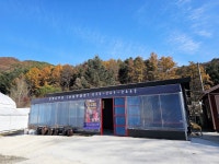 은행나무하우스실내낚시터