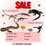 뉴런쥬라기 파충류샵 울산점