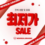 뉴런쥬라기 파충류샵 울산점