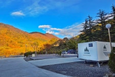 서진이네오토캠핑장