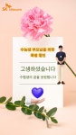 목동다솔 사진 4