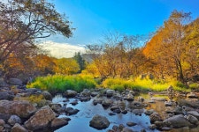 서진이네오토캠핑장