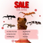 뉴런쥬라기 파충류샵 울산점