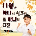 MTA 용인대충효태권도