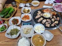 유황꿀돼지
