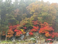 송정누룽지백숙.닭갈비