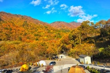 서진이네오토캠핑장