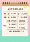 월드컵탁구클럽WTT