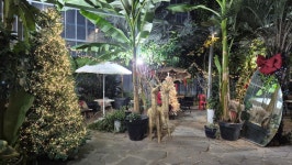 아라깨비베이커리식물원카페