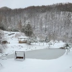 양평숲 비룡캠핑장