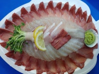 쌍둥이수산 23번