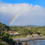 에이쉘인제주