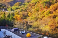 서진이네오토캠핑장