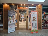 캣툰 안산중앙점