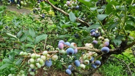 미륵산계곡꿈의궁전마을펜션