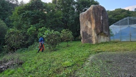 미륵산계곡꿈의궁전마을펜션
