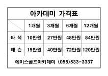 에이스골프아카데미