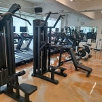 엘리트운동재활&퍼포먼스