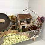 패러그린샵 동래점