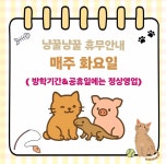 냥꿀냥꿀