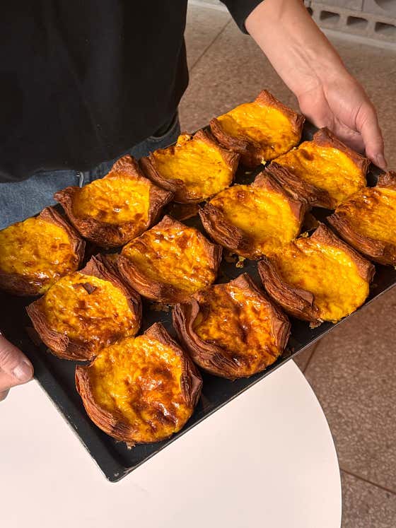 터틀턴 사진