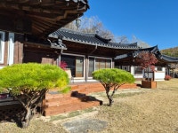 스테이해뜰우