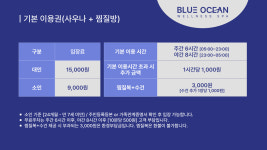 블루오션웰니스스파