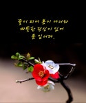 일품축산