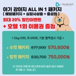 디테일 동물의료센터