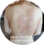 하선음양오행건강관리센터