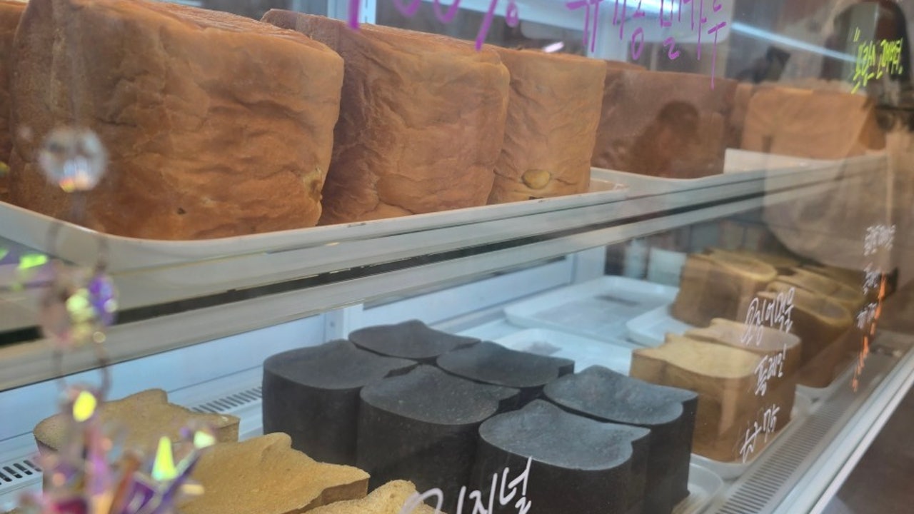 식빵굽는고양이