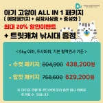 디테일 동물의료센터