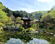 경복궁삼계탕전문점