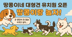 땅콩애견유치원 일산점